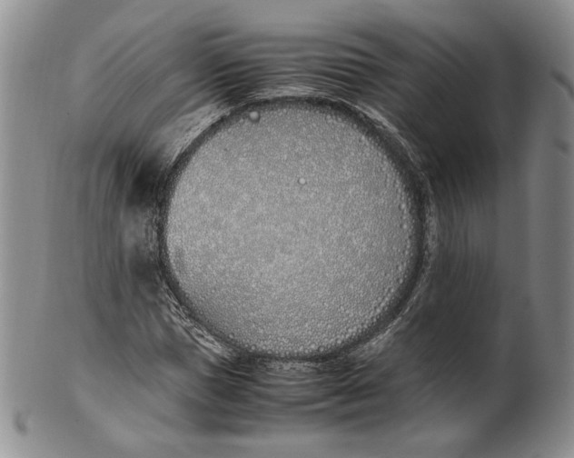X0000100770921200807101747