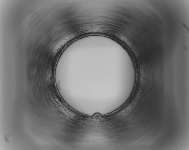 X0000100770922200807101747