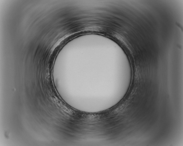 X0000100770923200807101747
