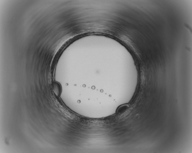 X0000100770924200807101747