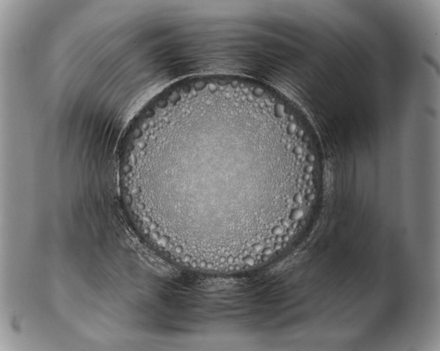 X0000100770925200807101747
