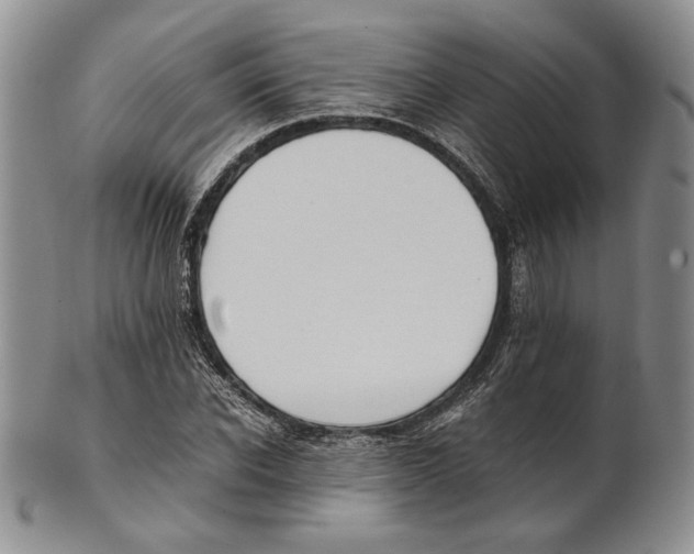 X0000100770926200807101747