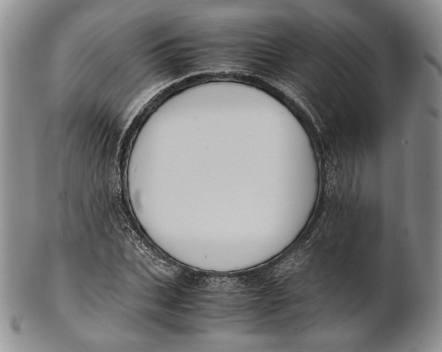 X0000100770927200807101747