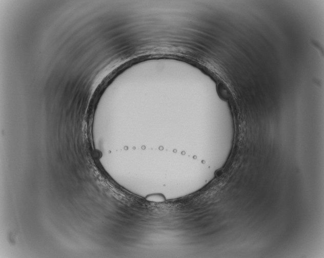 X0000100770928200807101747