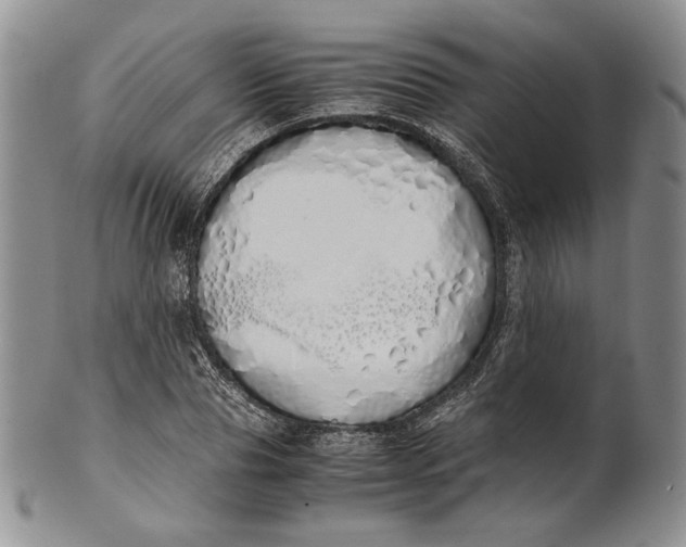 X0000100770929200807101747