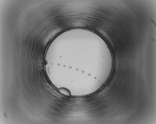 X0000100770930200807101747