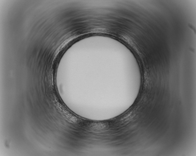X0000100770931200807101747