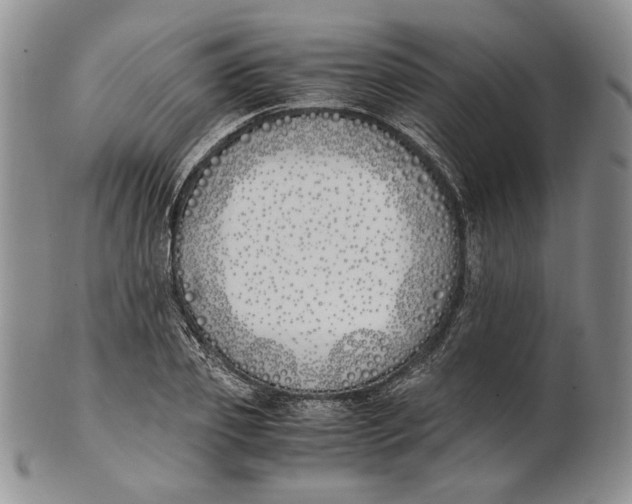 X0000100770933200807101747