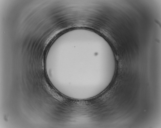 X0000100770934200807101747