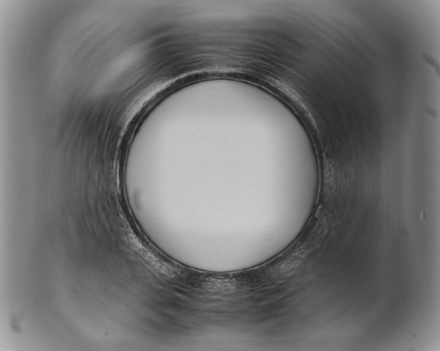 X0000100770935200807101747