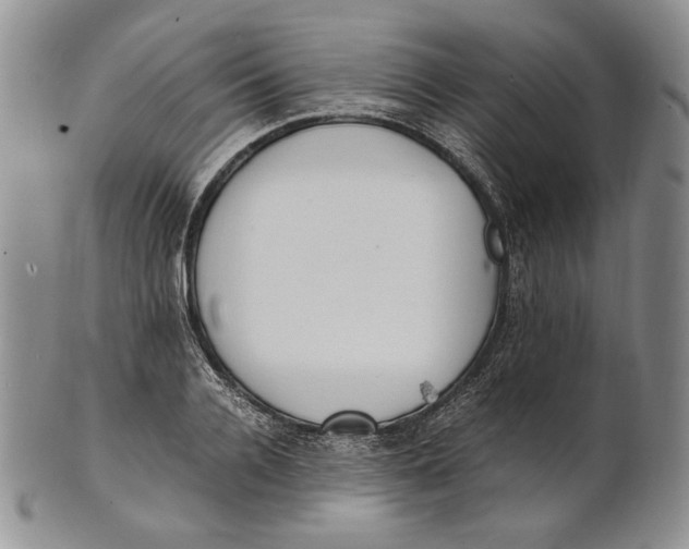 X0000100770936200807101747