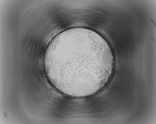 X0000100770937200807101747