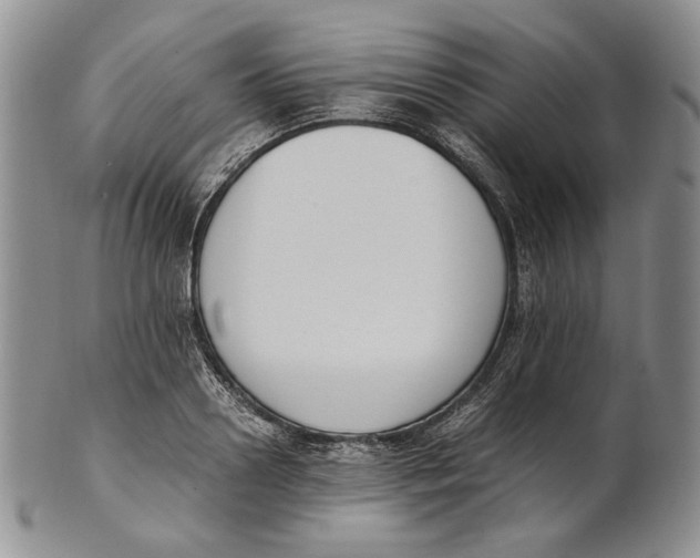 X0000100770938200807101747