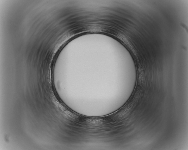 X0000100770939200807101747