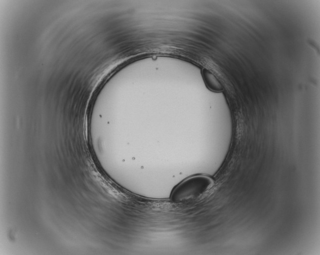 X0000100770940200807101747