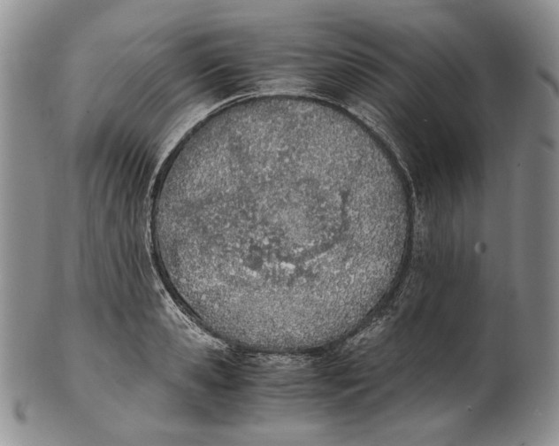 X0000100770941200807101747