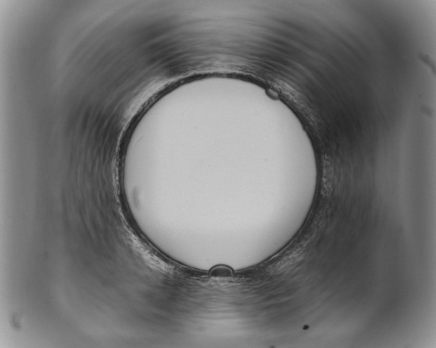 X0000100770942200807101748