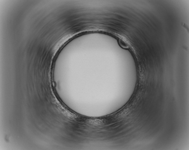 X0000100770943200807101748