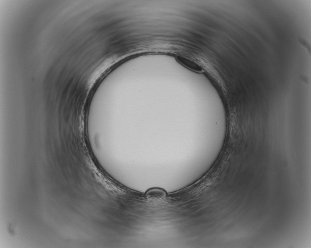 X0000100770944200807101748