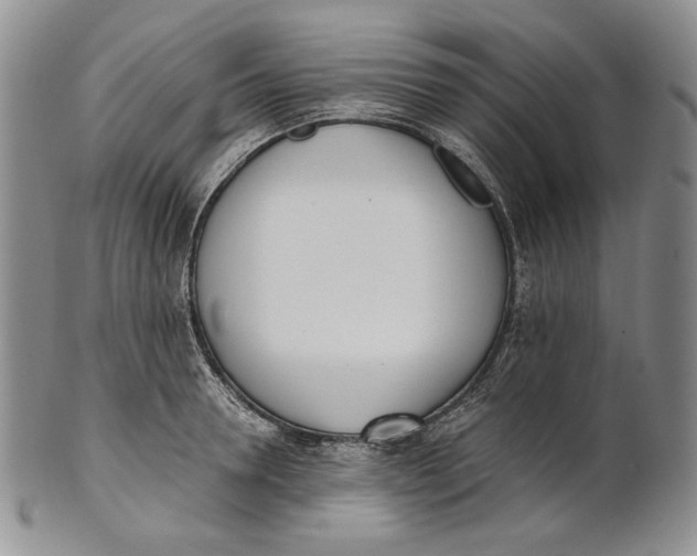 X0000100770946200807101748
