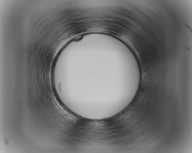 X0000100770947200807101748