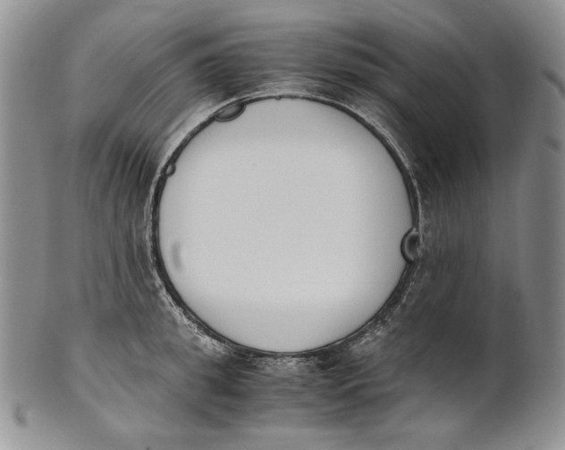 X0000100770949200807101748