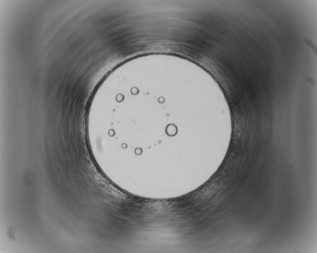 X0000100770950200807101748