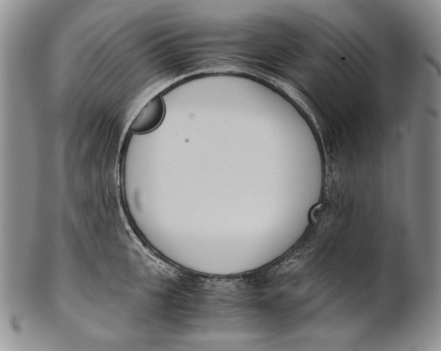 X0000100770951200807101748