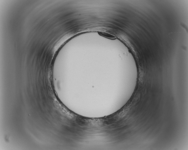 X0000100770952200807101748