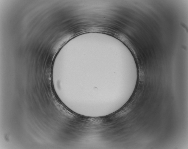 X0000100770954200807101748