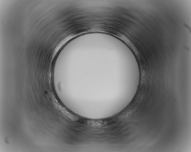 X0000100770955200807101748
