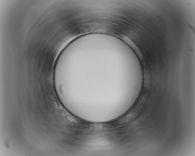 X0000100770956200807101748