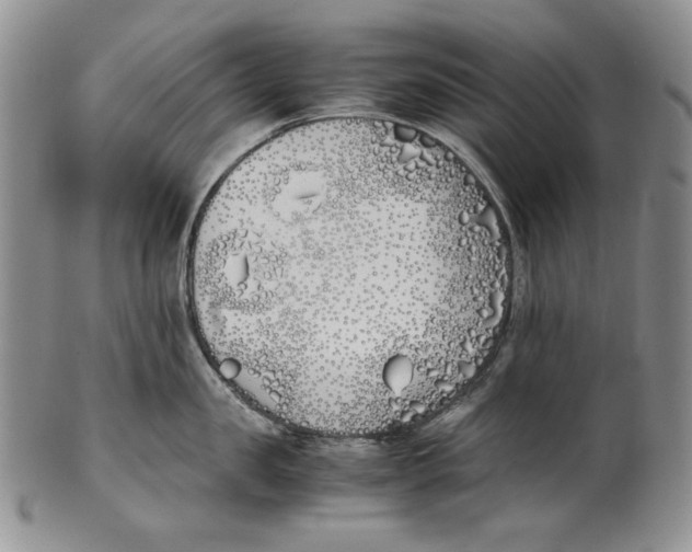 X0000100770957200807101748
