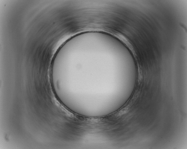 X0000100770958200807101748