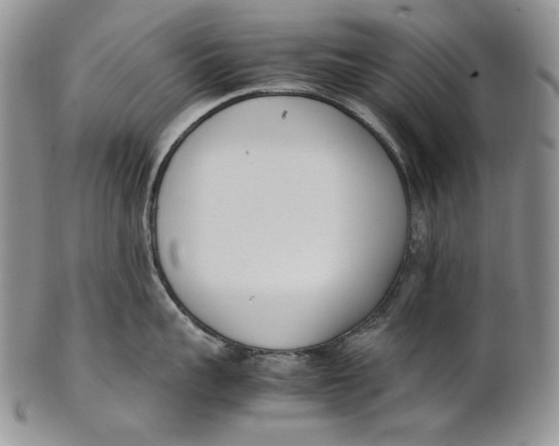 X0000100770959200807101748