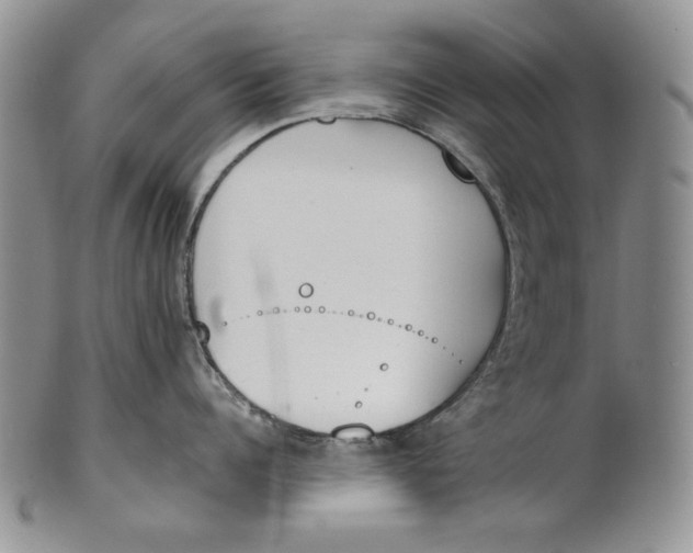 X0000100770960200807101748