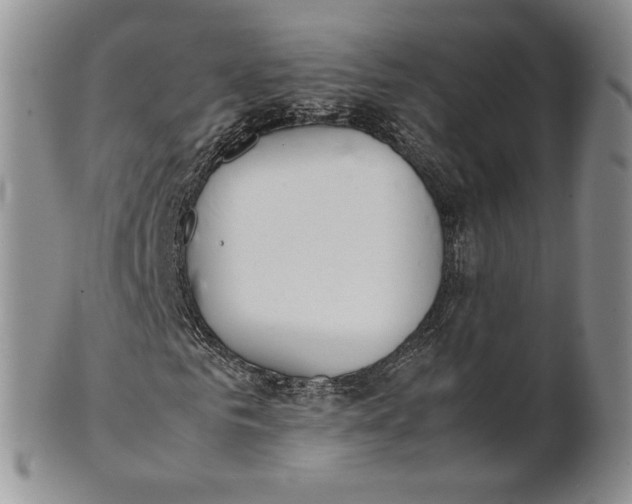 X0000100770961200807101747