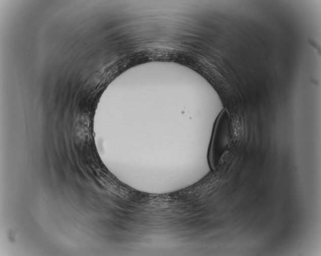 X0000100770964200807101747