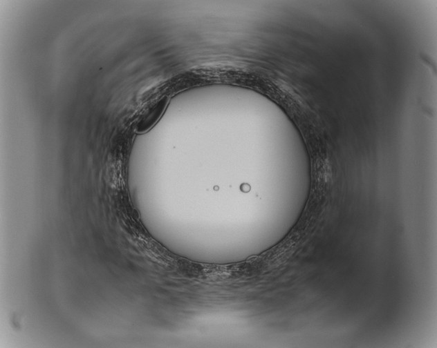 X0000100770965200807101747