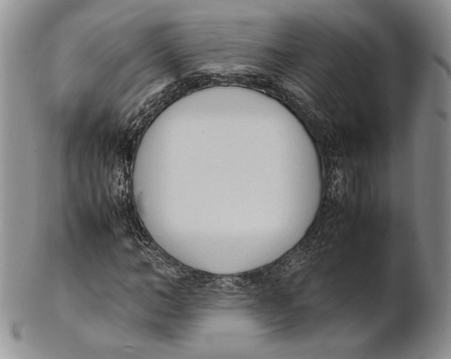 X0000100770966200807101747