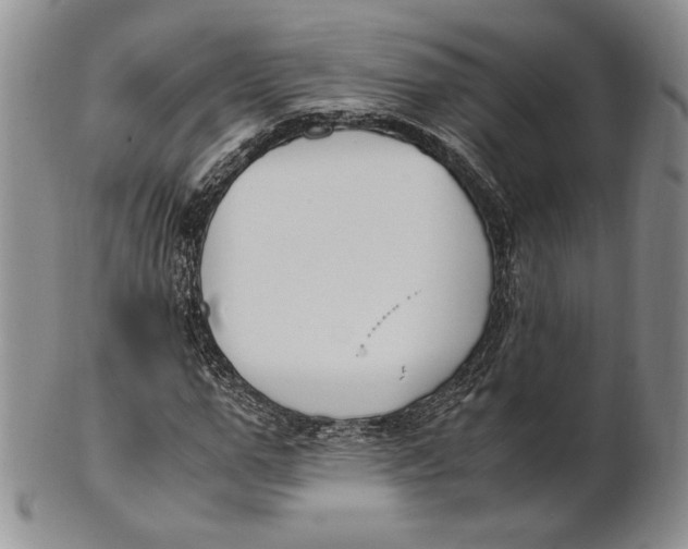 X0000100770967200807101747