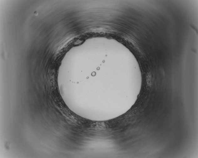 X0000100770968200807101747
