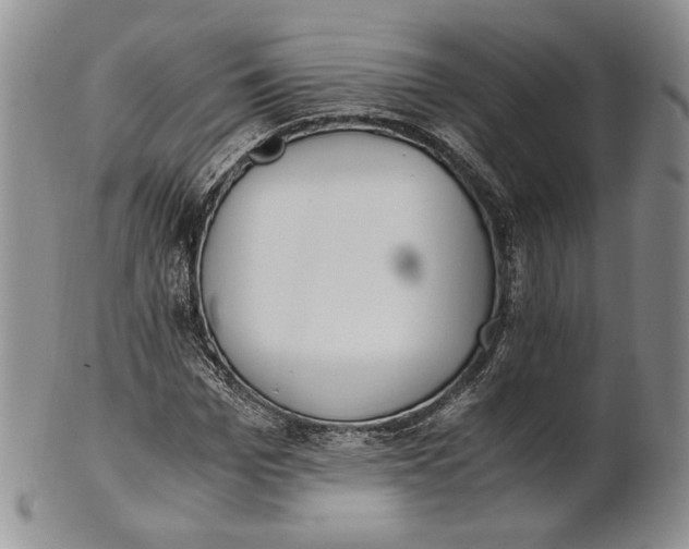 X0000100770969200807101747