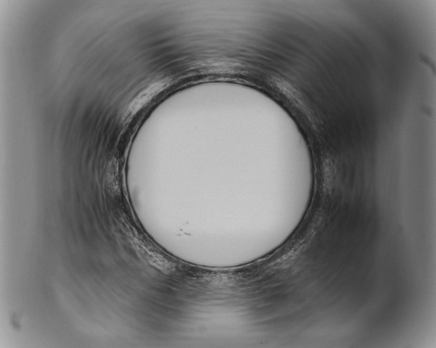 X0000100770970200807101747