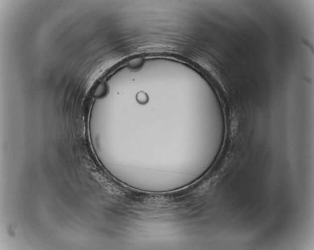 X0000100770973200807101747