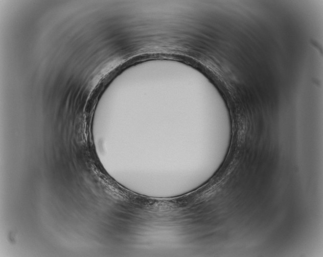 X0000100770974200807101747
