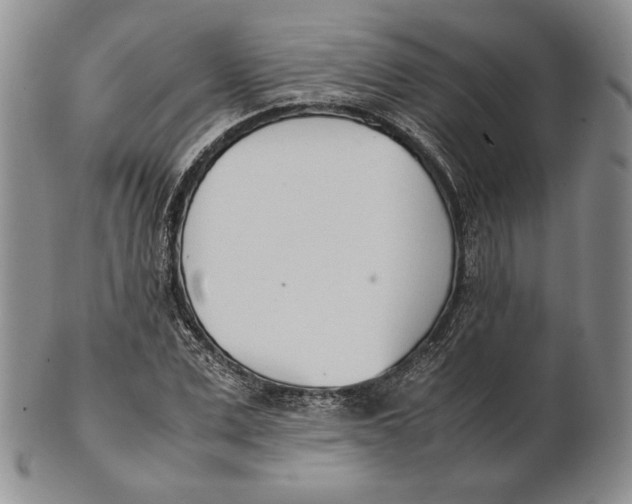 X0000100770975200807101747