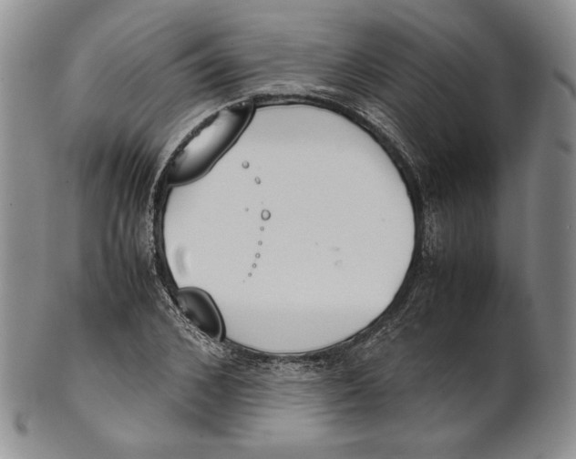 X0000100770976200807101747