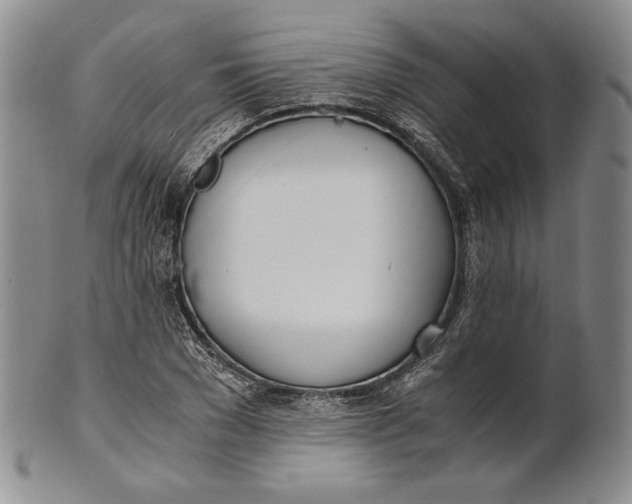 X0000100770977200807101747