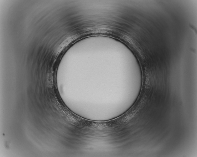 X0000100770978200807101747